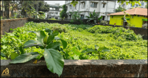LAND FOR SALE AT MEDICAL SILIGURI