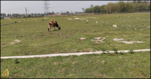 Land for Sale at Ranidanga, Siliguri