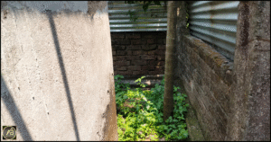 Shivmandir Siliguri Land for Sale with House