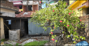 Prime Land for Sale at Subhashpally Siliguri