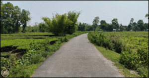 Farm House for Sale at Jalabari Siliguri