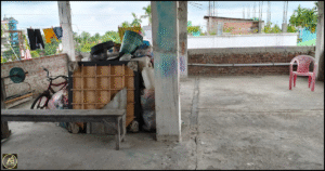 House for Sale! Ashigadh Siliguri