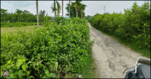 Rani Danga Siliguri Land for Sale