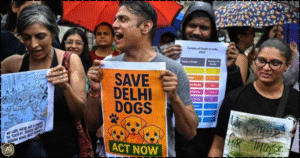 SC raps Delhi govt over stray dog rules inaction