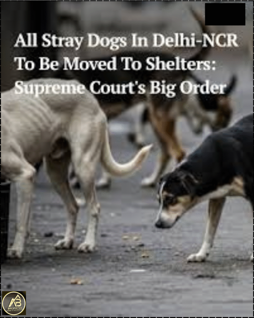 Stray dogs relocation Delhi-NCR