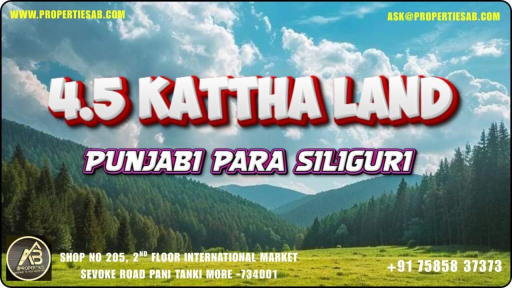 4.5 karha for sale at punjabi para