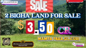 2 Bigha Land Available for Sale in Mamta Para, Siliguri - An Investment in Destiny