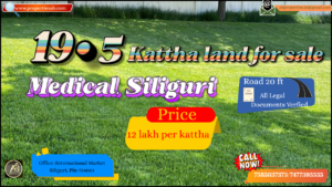 19.5 Kattha Land for Sale in Medical, Siliguri – Great Investment Property with 20 Feet Road Access