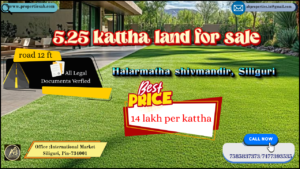 Katha Land for Sale at Halarmatha Shiv Mandir, Siliguri - Ideal Investment Property